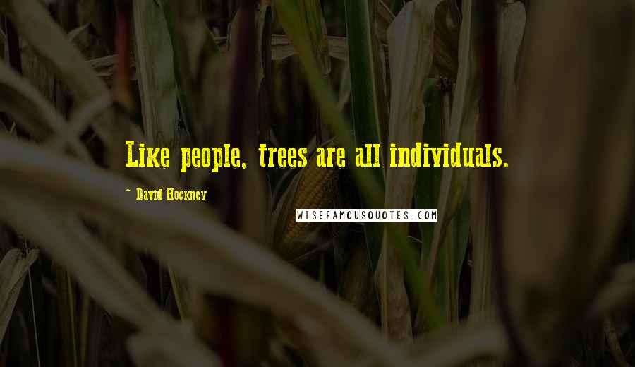 David Hockney Quotes: Like people, trees are all individuals.