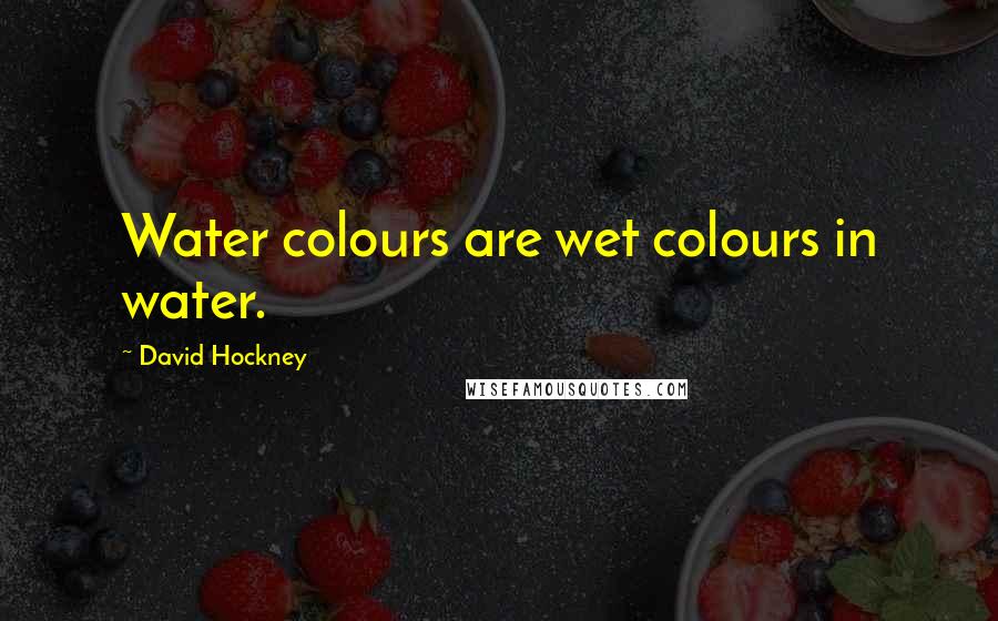 David Hockney Quotes: Water colours are wet colours in water.