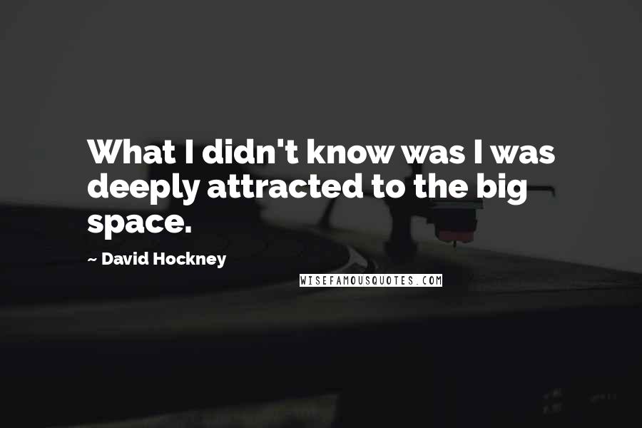 David Hockney Quotes: What I didn't know was I was deeply attracted to the big space.