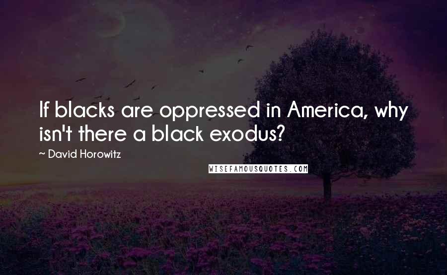 David Horowitz Quotes: If blacks are oppressed in America, why isn't there a black exodus?