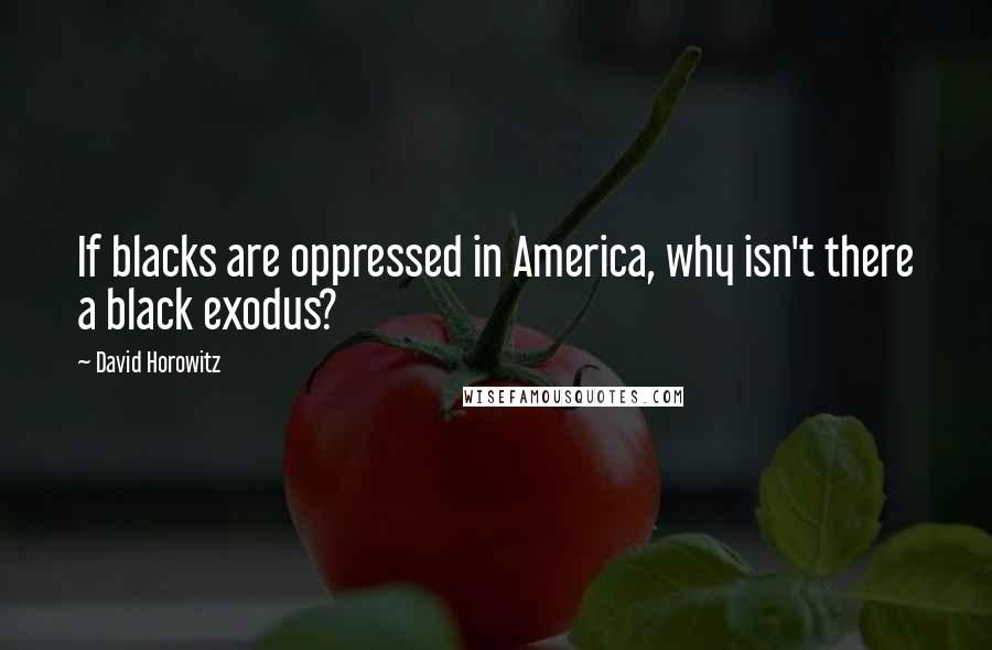 David Horowitz Quotes: If blacks are oppressed in America, why isn't there a black exodus?