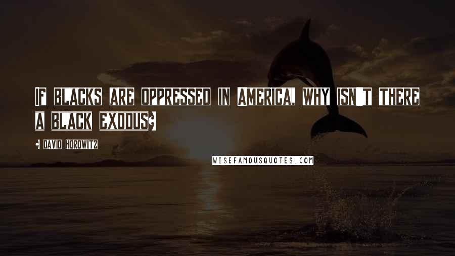 David Horowitz Quotes: If blacks are oppressed in America, why isn't there a black exodus?