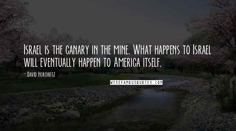 David Horowitz Quotes: Israel is the canary in the mine. What happens to Israel will eventually happen to America itself.