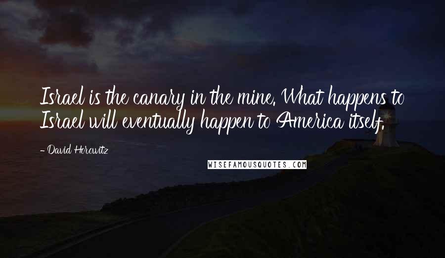 David Horowitz Quotes: Israel is the canary in the mine. What happens to Israel will eventually happen to America itself.