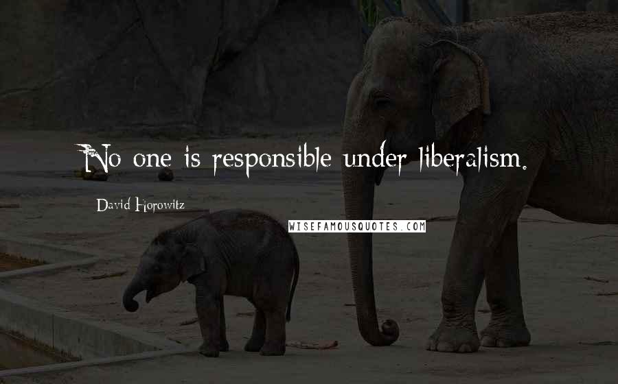 David Horowitz Quotes: No one is responsible under liberalism.