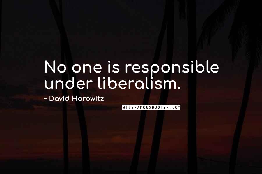David Horowitz Quotes: No one is responsible under liberalism.