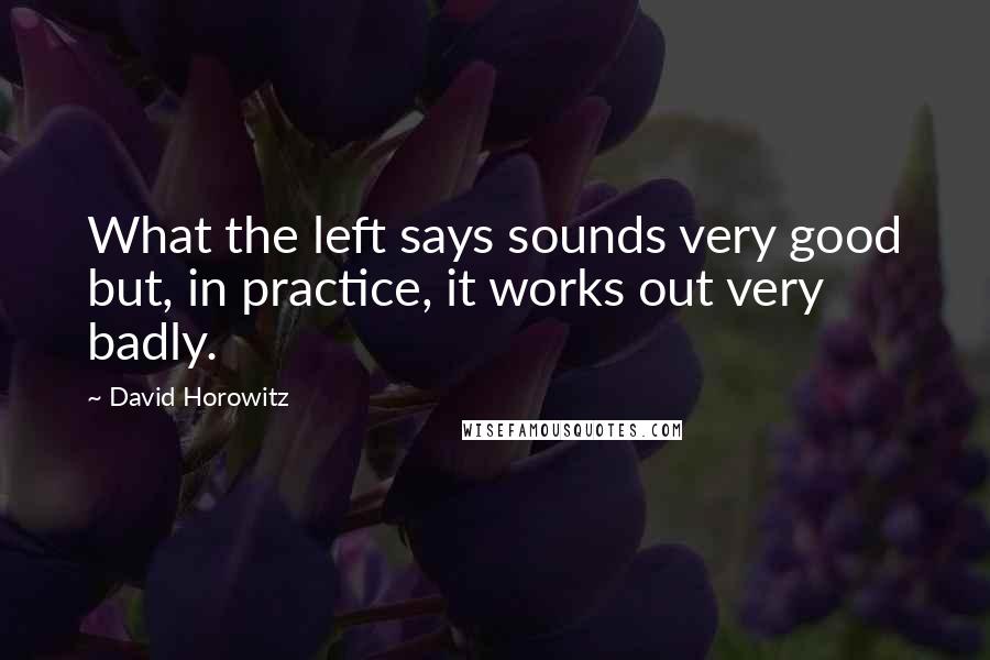 David Horowitz Quotes: What the left says sounds very good but, in practice, it works out very badly.