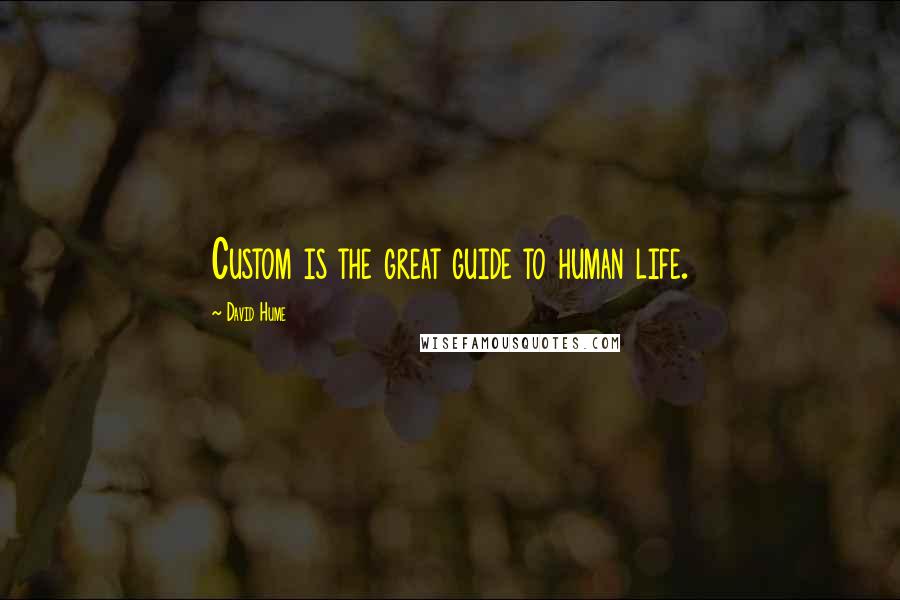 David Hume Quotes: Custom is the great guide to human life.