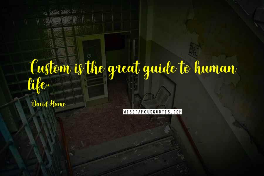 David Hume Quotes: Custom is the great guide to human life.