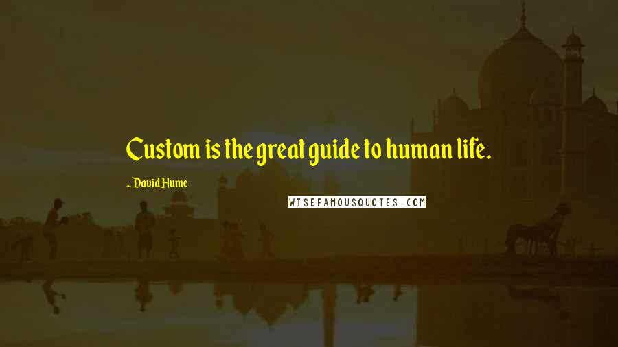David Hume Quotes: Custom is the great guide to human life.