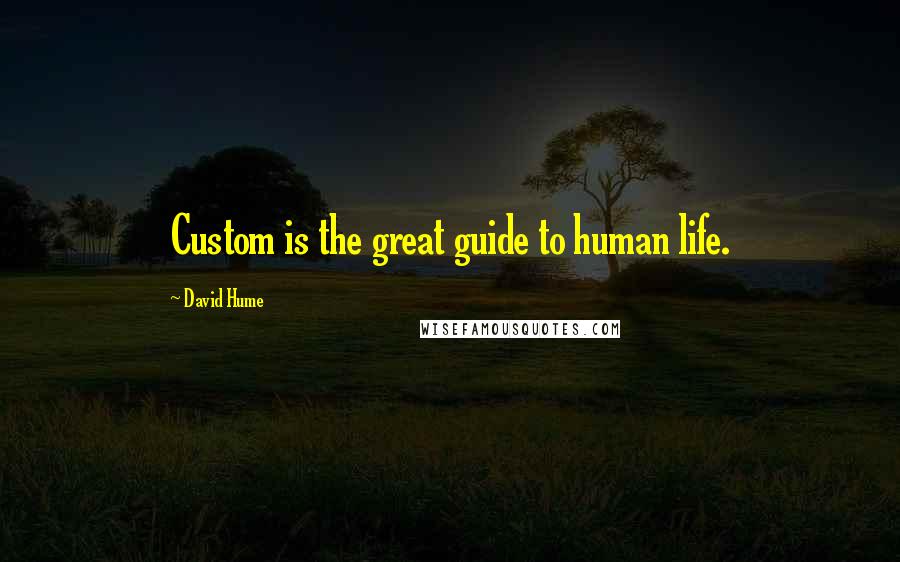 David Hume Quotes: Custom is the great guide to human life.