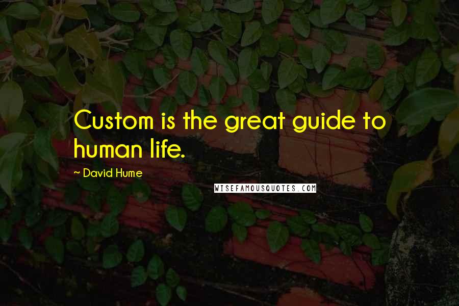 David Hume Quotes: Custom is the great guide to human life.