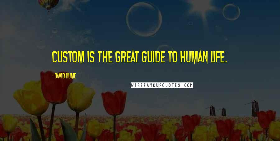 David Hume Quotes: Custom is the great guide to human life.