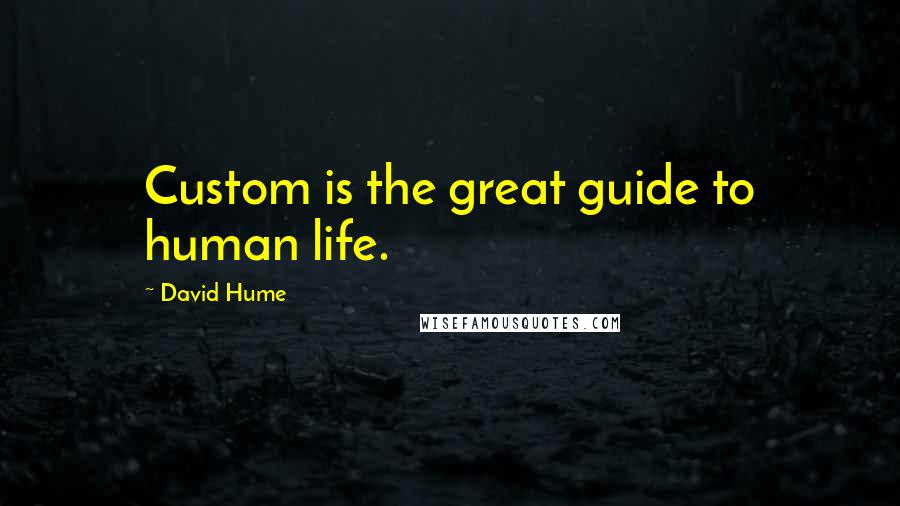 David Hume Quotes: Custom is the great guide to human life.