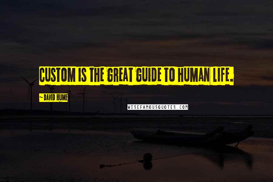 David Hume Quotes: Custom is the great guide to human life.