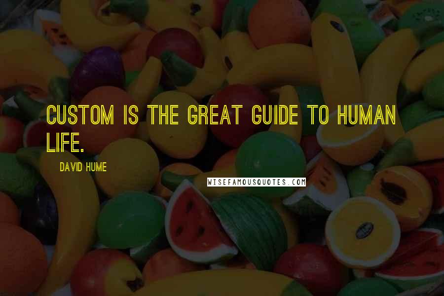 David Hume Quotes: Custom is the great guide to human life.