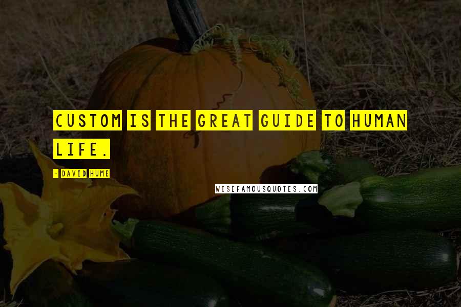 David Hume Quotes: Custom is the great guide to human life.