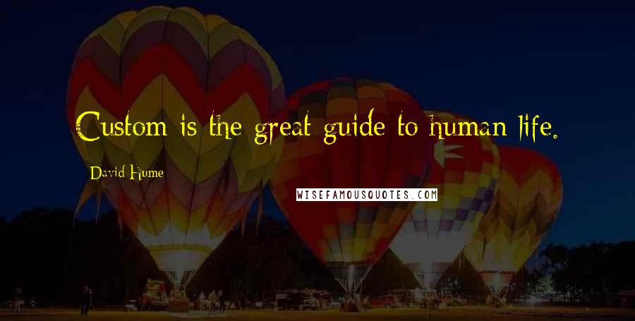 David Hume Quotes: Custom is the great guide to human life.