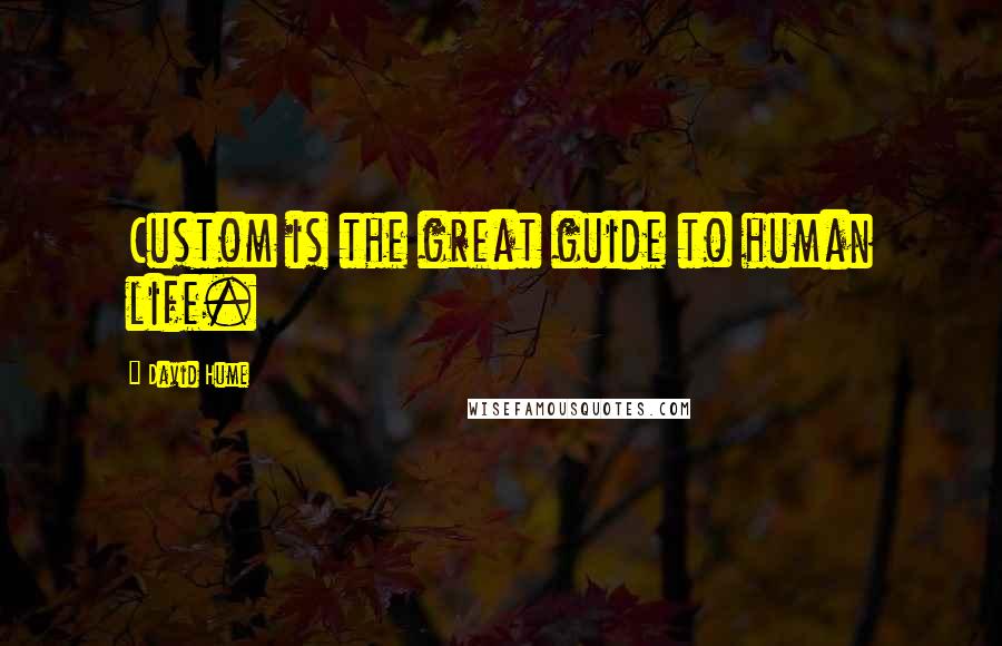 David Hume Quotes: Custom is the great guide to human life.