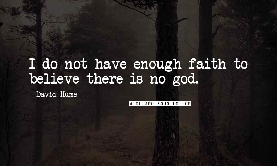 David Hume Quotes: I do not have enough faith to believe there is no god.