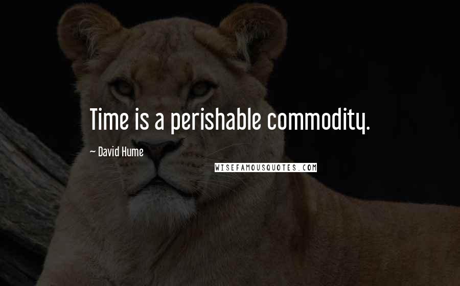 David Hume Quotes: Time is a perishable commodity.