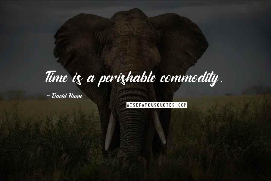 David Hume Quotes: Time is a perishable commodity.