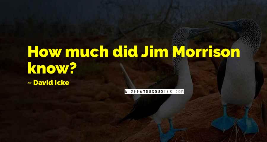 David Icke Quotes: How much did Jim Morrison know?