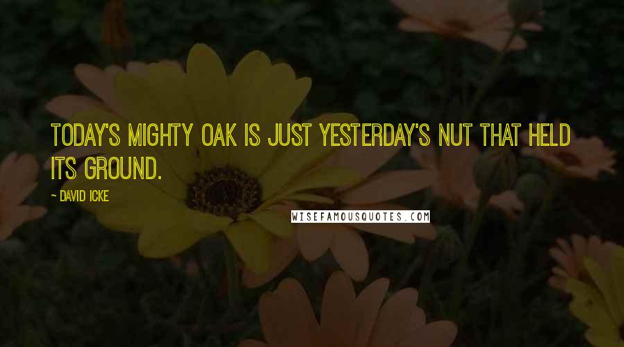 David Icke Quotes: Today's mighty oak is just yesterday's nut that held its ground. 