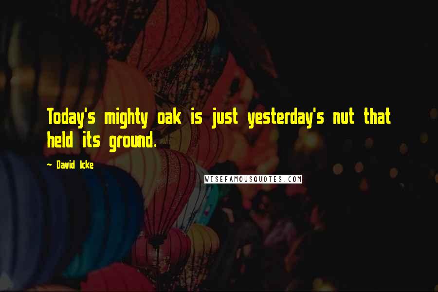 David Icke Quotes: Today's mighty oak is just yesterday's nut that held its ground. 