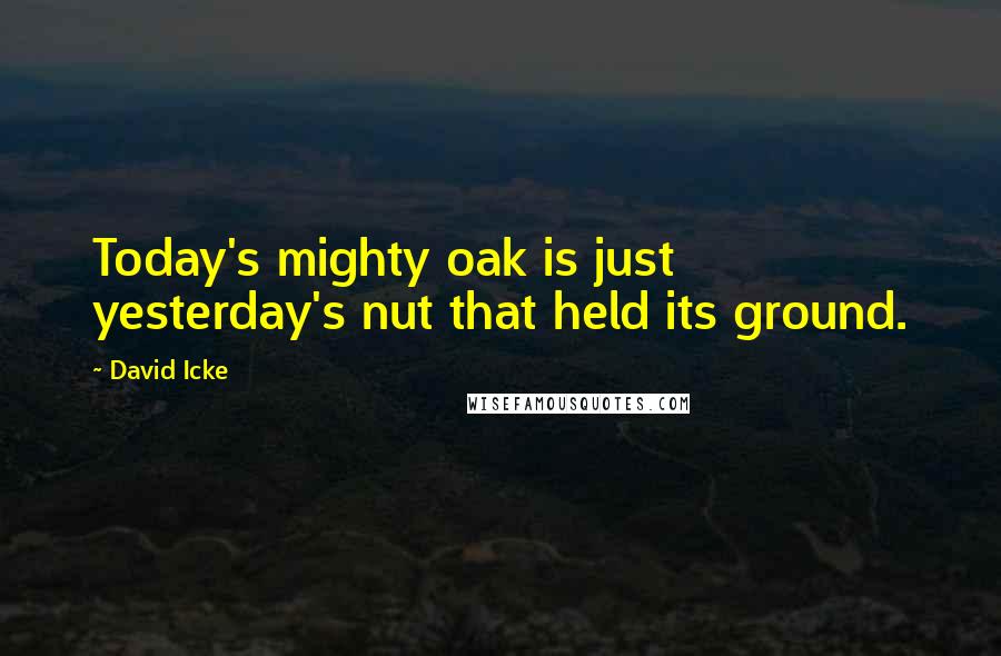 David Icke Quotes: Today's mighty oak is just yesterday's nut that held its ground. 