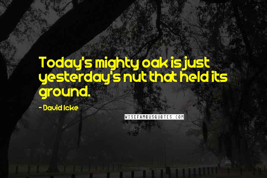 David Icke Quotes: Today's mighty oak is just yesterday's nut that held its ground. 