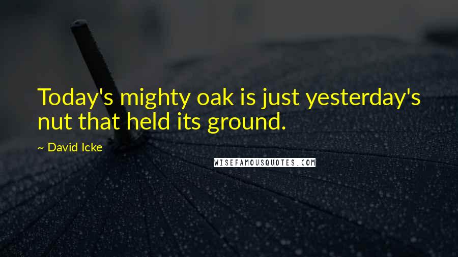 David Icke Quotes: Today's mighty oak is just yesterday's nut that held its ground. 