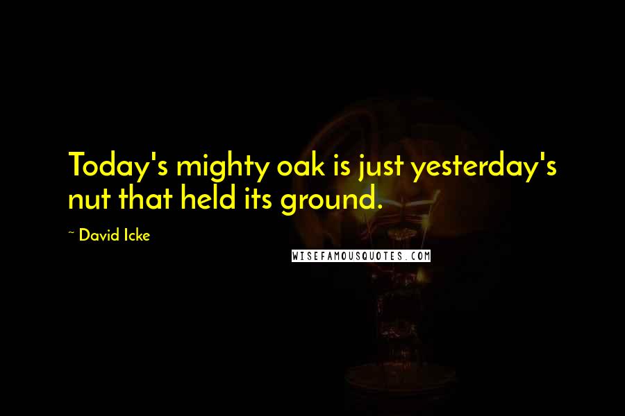 David Icke Quotes: Today's mighty oak is just yesterday's nut that held its ground. 