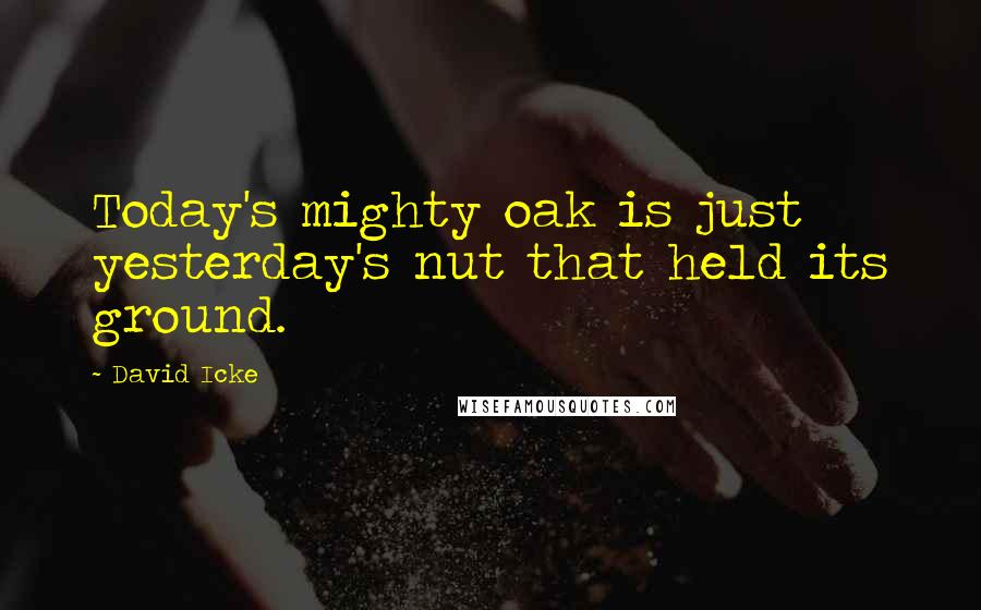 David Icke Quotes: Today's mighty oak is just yesterday's nut that held its ground. 