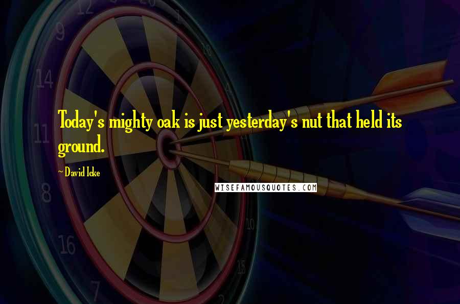 David Icke Quotes: Today's mighty oak is just yesterday's nut that held its ground. 