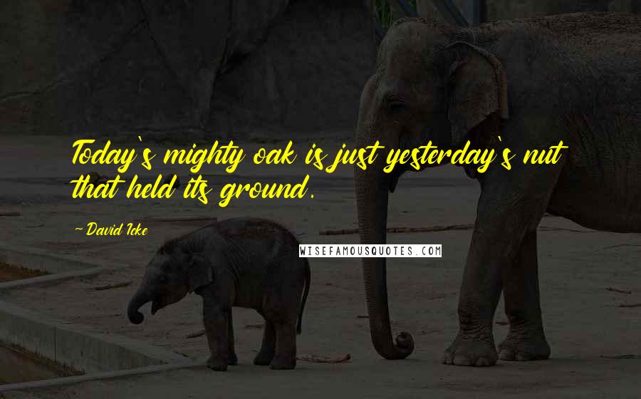 David Icke Quotes: Today's mighty oak is just yesterday's nut that held its ground. 