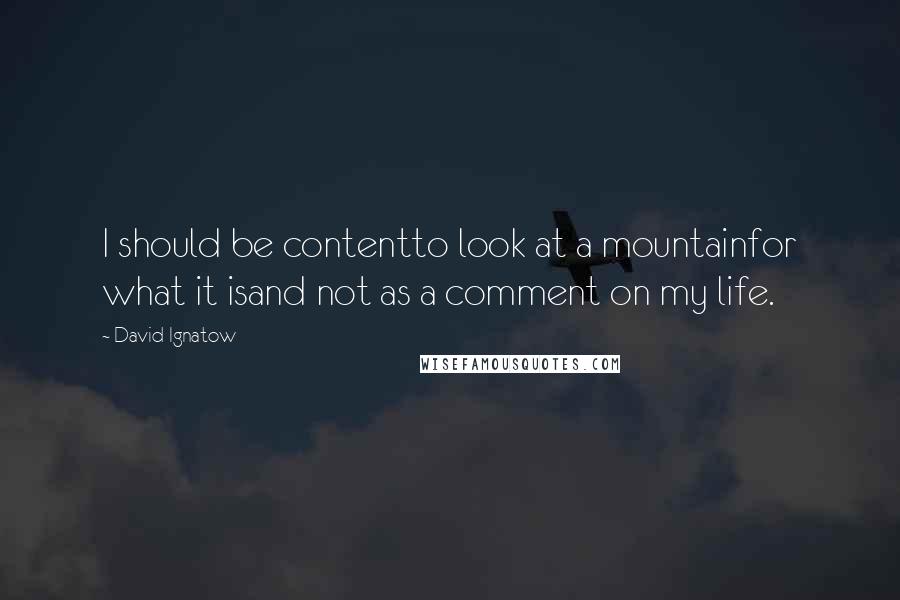 David Ignatow Quotes: I should be contentto look at a mountainfor what it isand not as a comment on my life.