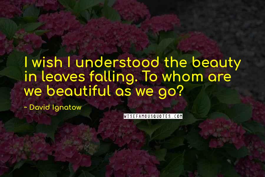 David Ignatow Quotes: I wish I understood the beauty in leaves falling. To whom are we beautiful as we go?