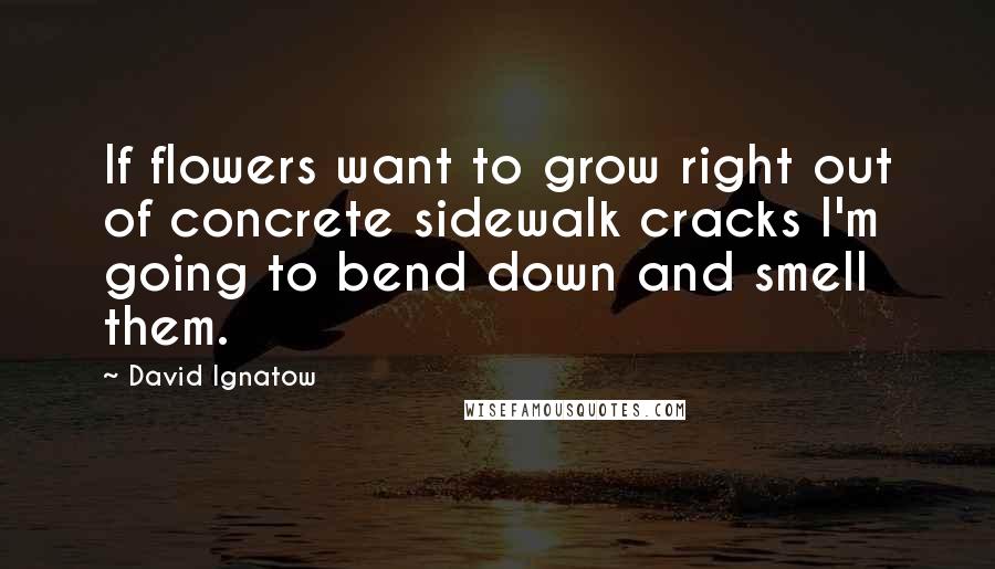 David Ignatow Quotes: If flowers want to grow right out of concrete sidewalk cracks I'm going to bend down and smell them.