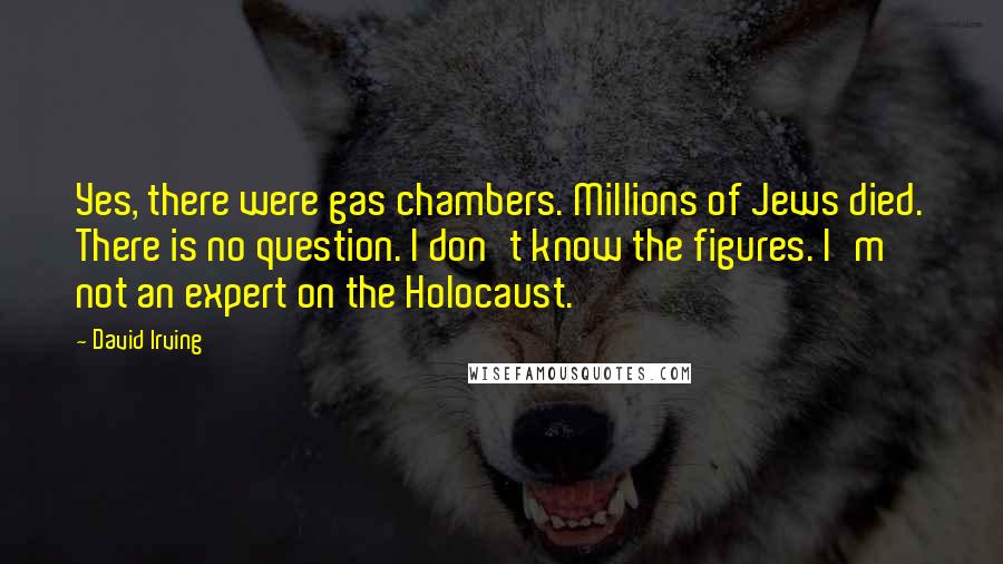 David Irving Quotes: Yes, there were gas chambers. Millions of Jews died. There is no question. I don't know the figures. I'm not an expert on the Holocaust.