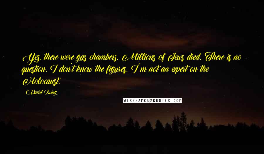 David Irving Quotes: Yes, there were gas chambers. Millions of Jews died. There is no question. I don't know the figures. I'm not an expert on the Holocaust.