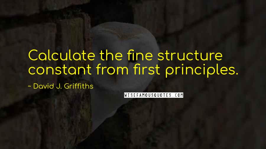 David J. Griffiths Quotes: Calculate the fine structure constant from first principles.