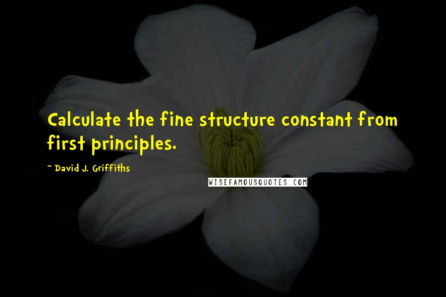 David J. Griffiths Quotes: Calculate the fine structure constant from first principles.