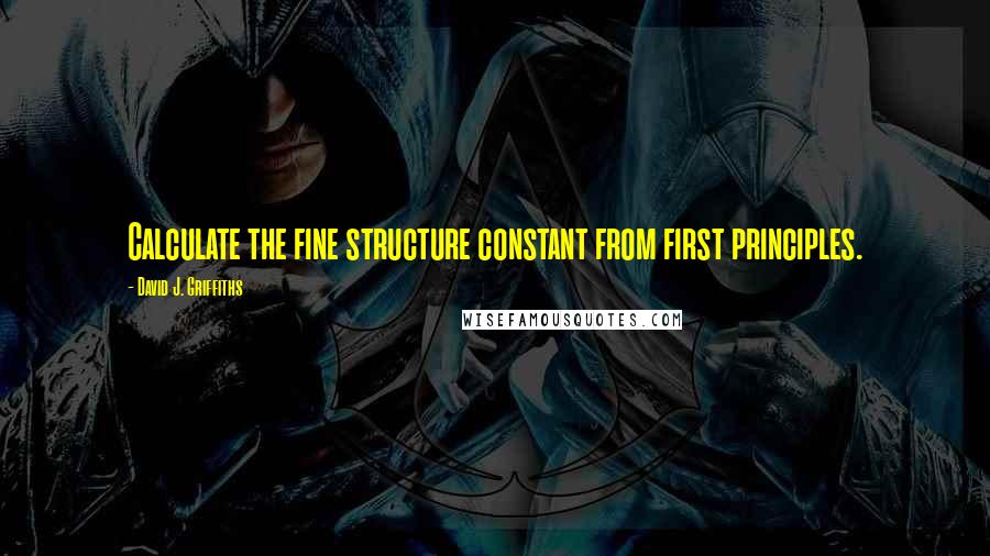 David J. Griffiths Quotes: Calculate the fine structure constant from first principles.