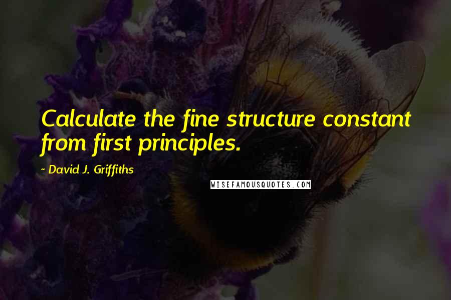 David J. Griffiths Quotes: Calculate the fine structure constant from first principles.