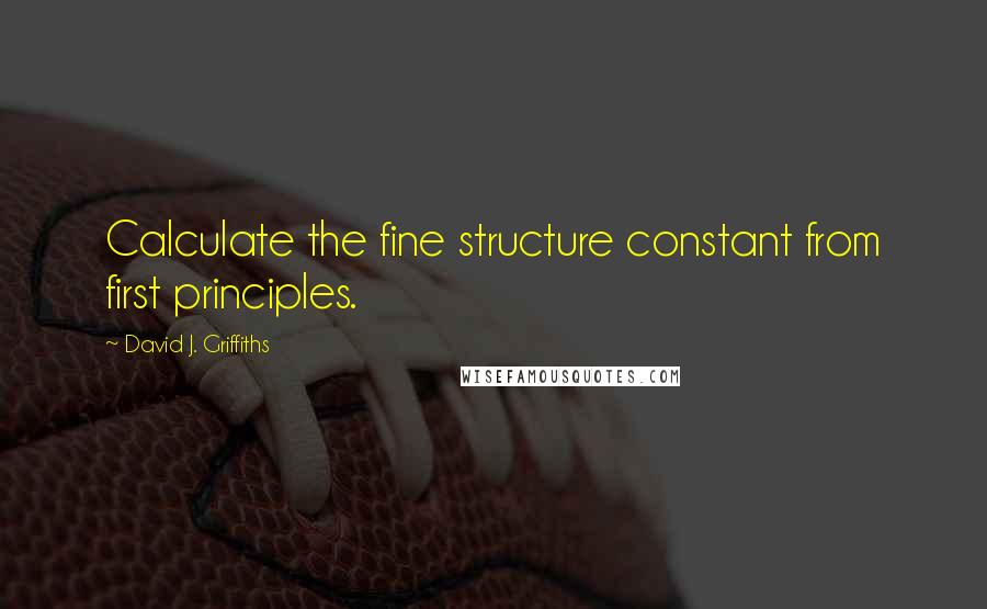 David J. Griffiths Quotes: Calculate the fine structure constant from first principles.