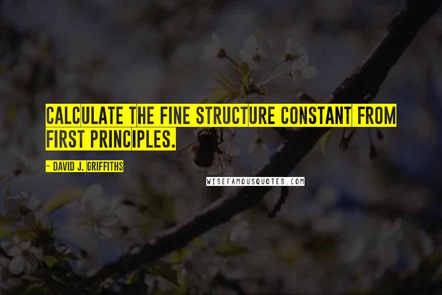 David J. Griffiths Quotes: Calculate the fine structure constant from first principles.