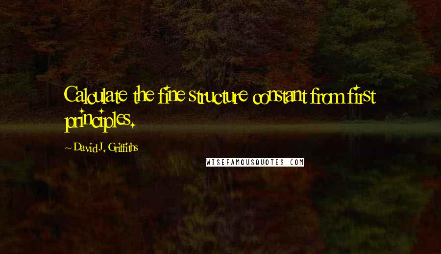 David J. Griffiths Quotes: Calculate the fine structure constant from first principles.