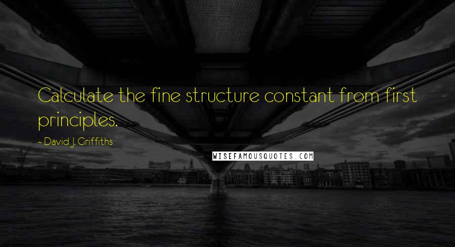 David J. Griffiths Quotes: Calculate the fine structure constant from first principles.