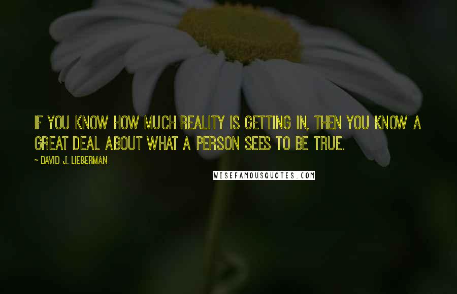 David J. Lieberman Quotes: If you know how much reality is getting in, then you know a great deal about what a person sees to be true.